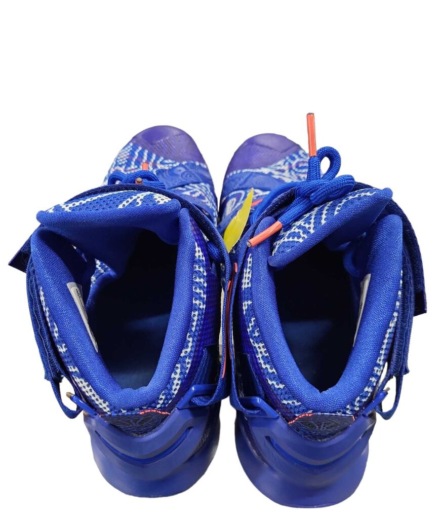 Lebron Soldier 9 Sneakers