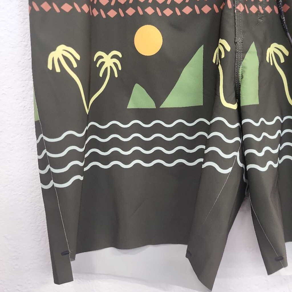 Roark The Passage Board Shorts