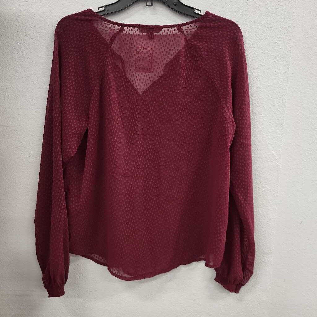 Banana Republic Sheer LS