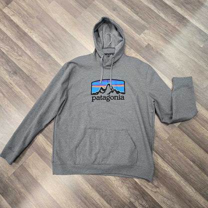 Patagonia Men's Hoodie