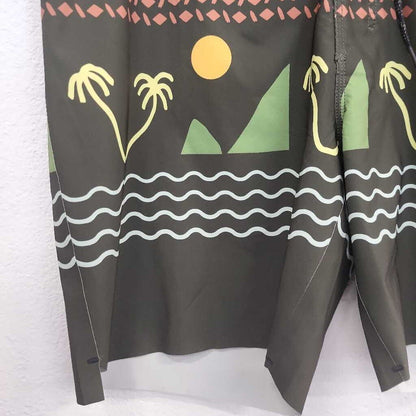 Roark The Passage Board Shorts